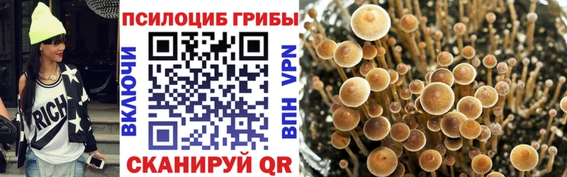 Псилоцибиновые грибы MAGIC MUSHROOMS  KRAKEN зеркало  даркнет Telegram  Ставрополь 