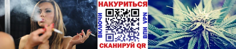 Каннабис семена  Ставрополь 